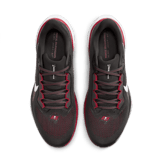 Nike Zoom Pegasus 41 Buccaneers Angle 1