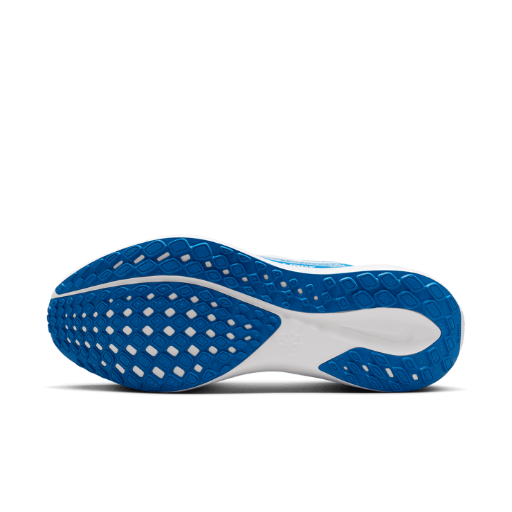 Nike Zoom Pegasus 41 Lions Angle 0