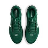 Nike Zoom Pegasus 41 Jets Angle 1