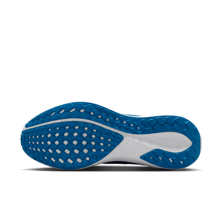 Nike Zoom Pegasus 41 Panthers Angle 0