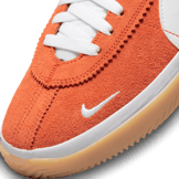 Nike BRSB Miami Hurricanes Angle 4