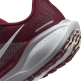 Nike Zoom Pegasus 41 AAMU Angle 5