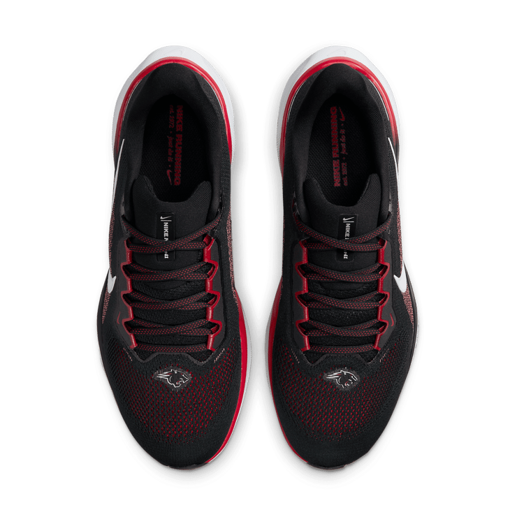 Nike Zoom Pegasus 41 CAU Angle 1