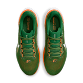 Nike Zoom Pegasus 41 FAMU Angle 1