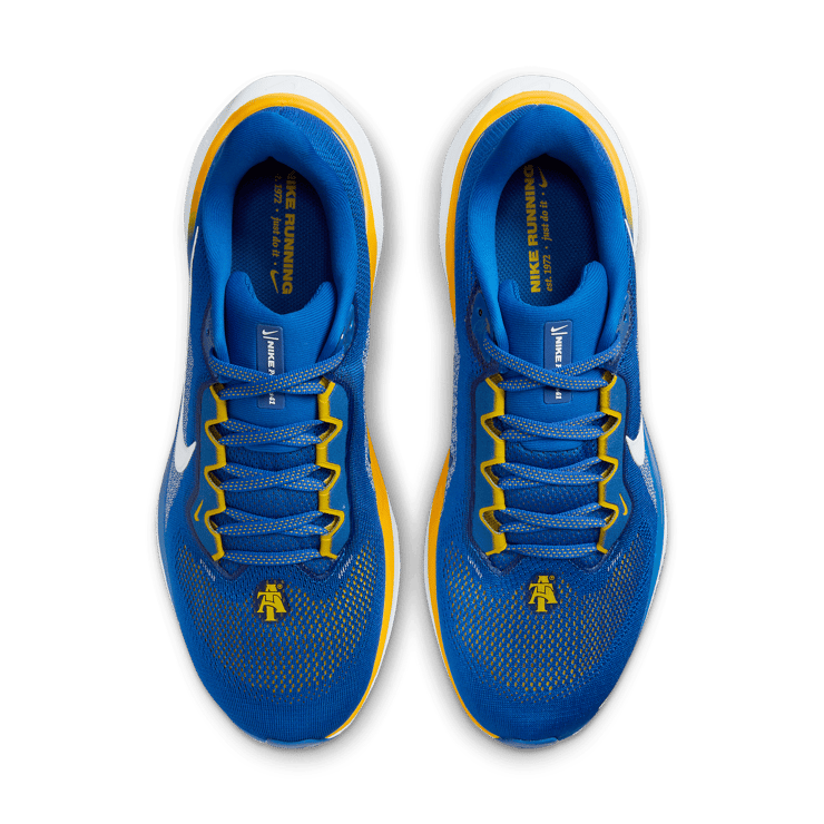 Nike Zoom Pegasus 41 NCAT Angle 1