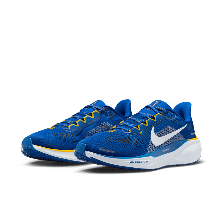 Nike Zoom Pegasus 41 NCAT Angle 2