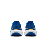 Nike Zoom Pegasus 41 NCAT Angle 3