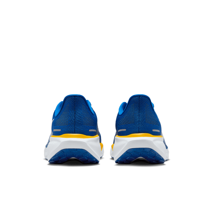 Nike Zoom Pegasus 41 NCAT Angle 3