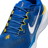 Nike Zoom Pegasus 41 NCAT Angle 4