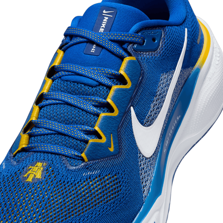Nike Zoom Pegasus 41 NCAT Angle 4