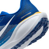 Nike Zoom Pegasus 41 NCAT Angle 5