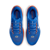 Nike Zoom Pegasus 41 Florida Angle 1
