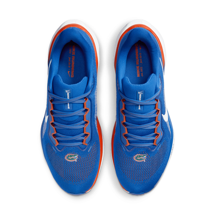Nike Zoom Pegasus 41 Florida Angle 1