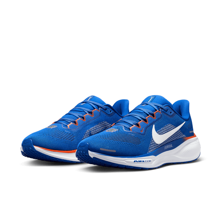 Nike Zoom Pegasus 41 Florida Angle 2