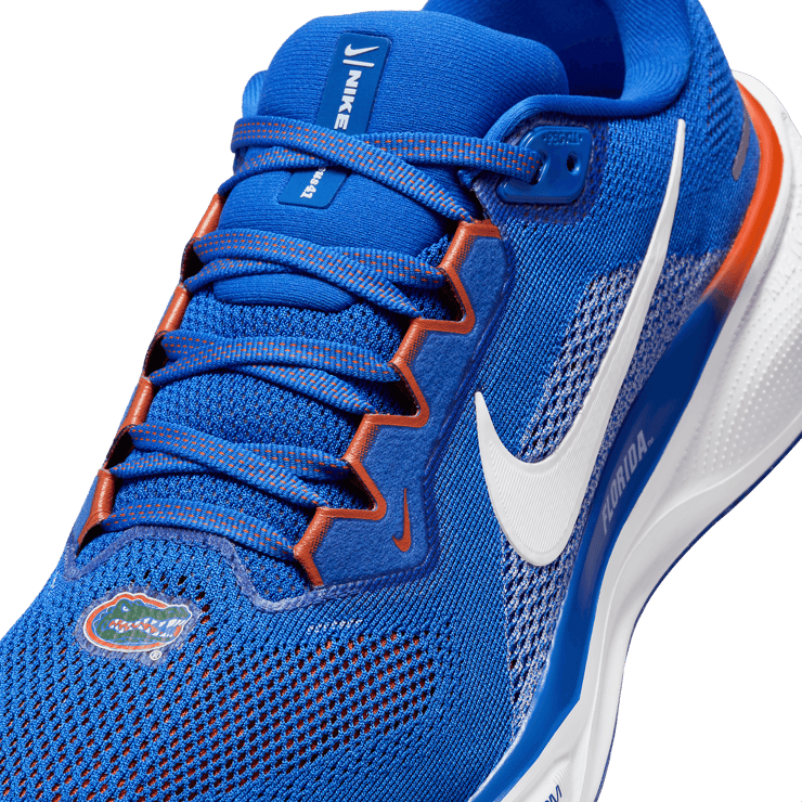 Nike Zoom Pegasus 41 Florida Angle 4