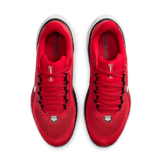 Nike Zoom Pegasus 41 Georgia Angle 1