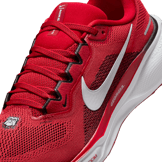Nike Zoom Pegasus 41 Georgia Angle 4