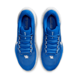 Nike Zoom Pegasus 41 Kentucky Angle 1