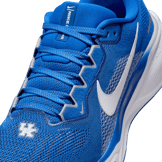 Nike Zoom Pegasus 41 Kentucky Angle 4