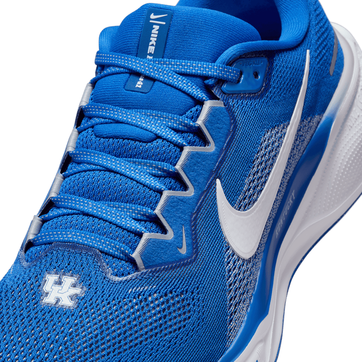 Nike Zoom Pegasus 41 Kentucky Angle 4