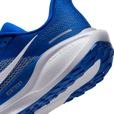 Nike Zoom Pegasus 41 Kentucky Angle 5