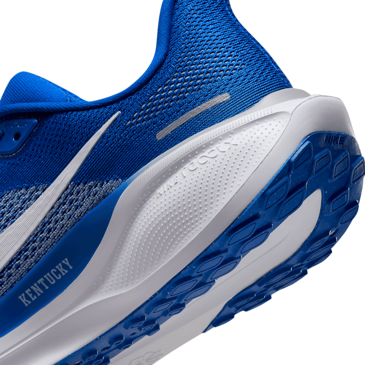 Nike Zoom Pegasus 41 Kentucky Angle 5