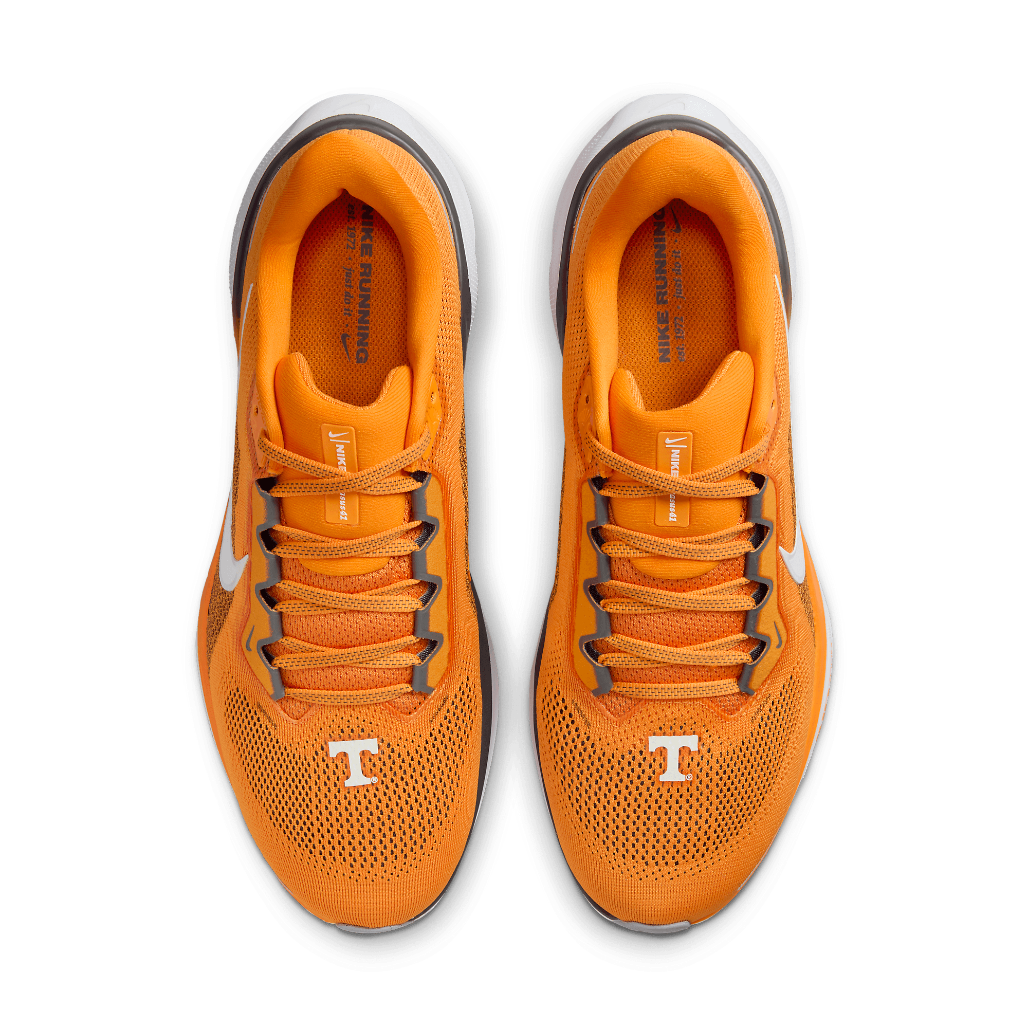 nike air zoom pegasus 36 tennessee