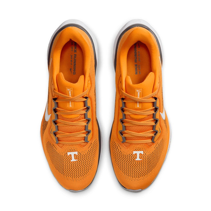 Nike Zoom Pegasus 41 Tennessee Angle 1