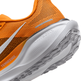 Nike Zoom Pegasus 41 Tennessee Angle 5