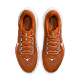 Nike Zoom Pegasus 41 Texas Angle 1