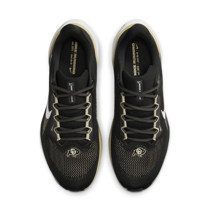 Nike Zoom Pegasus 41 Colorado Angle 1
