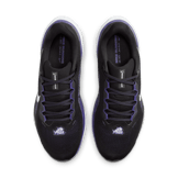 Nike Zoom Pegasus 41 TCU Angle 1
