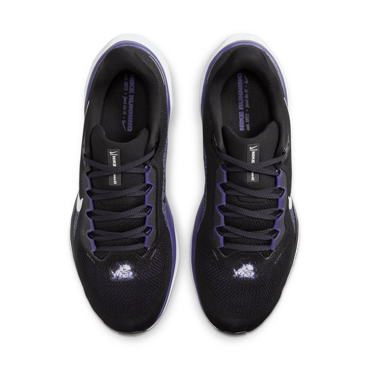 Nike Zoom Pegasus 41 TCU Angle 1