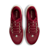 Nike Zoom Pegasus 41 FSU Angle 1