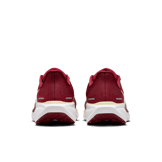 Nike Zoom Pegasus 41 FSU Angle 3