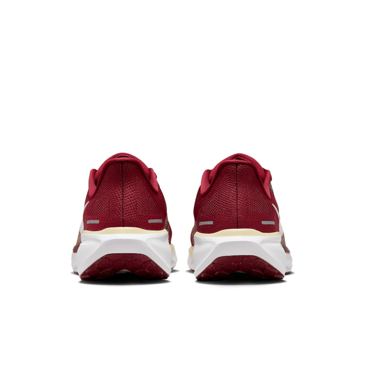 Nike Zoom Pegasus 41 FSU Angle 3