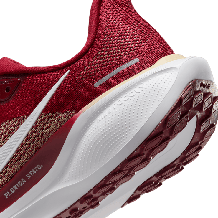 Nike Zoom Pegasus 41 FSU Angle 5