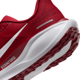 Nike Zoom Pegasus 41 Stanford Angle 5