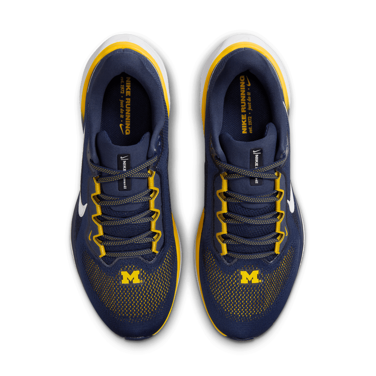 Nike Zoom Pegasus 41 Michigan Angle 1
