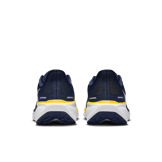 Nike Zoom Pegasus 41 Michigan Angle 3