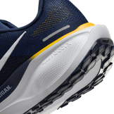 Nike Zoom Pegasus 41 Michigan Angle 5