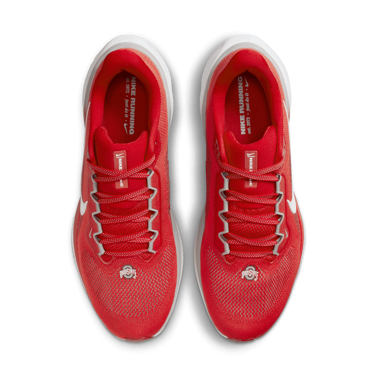 Nike Zoom Pegasus 41 Ohio State Angle 1