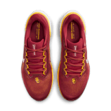Nike Zoom Pegasus 41 USC Angle 1