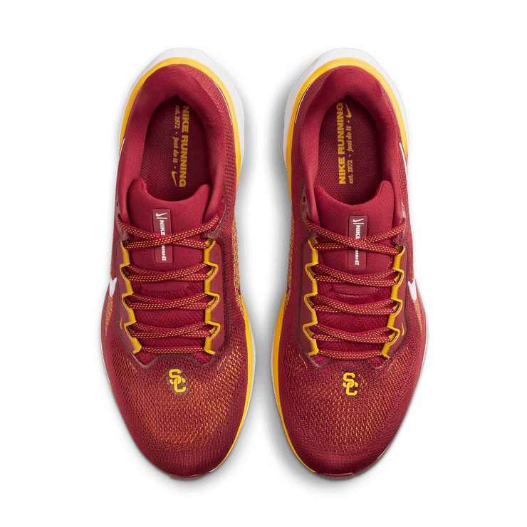Nike Zoom Pegasus 41 USC Angle 1