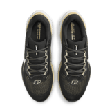 Nike Zoom Pegasus 41 Purdue Angle 1