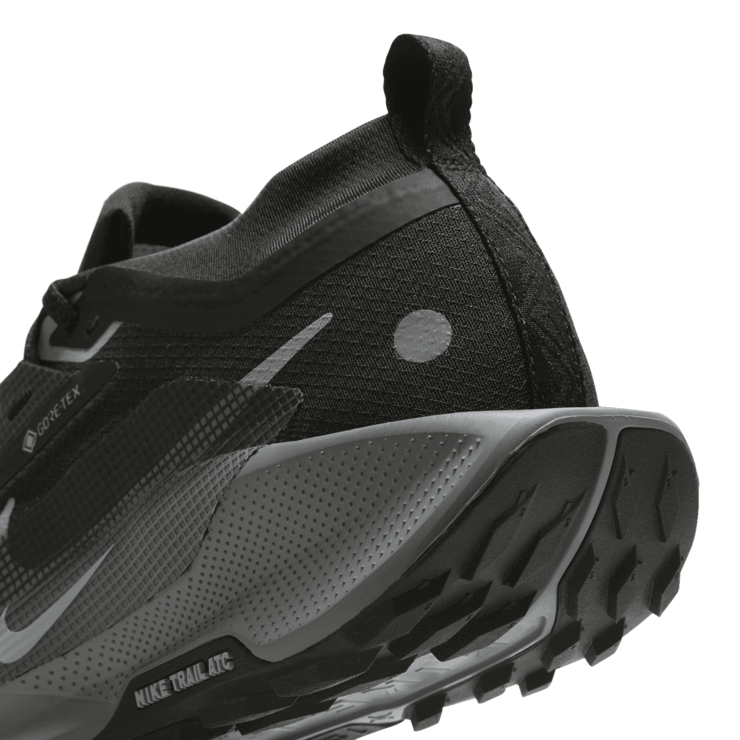 Nike Pegasus Trail 5 5 GORE-TEX 'Black Wolf Grey' (W) Angle 5