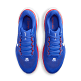 Nike Zoom Pegasus 41 Tennessee State Angle 1