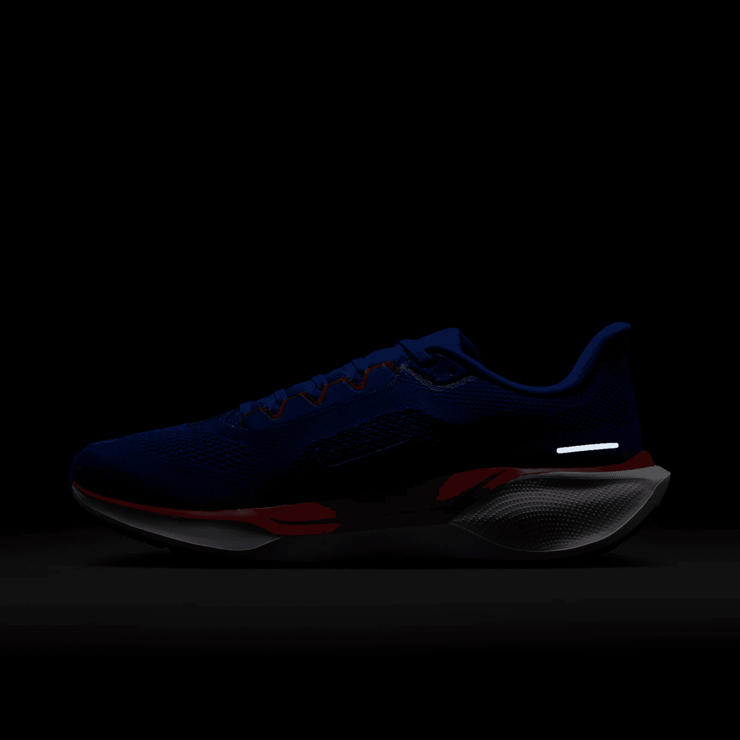 Nike Zoom Pegasus 41 Tennessee State Angle 9