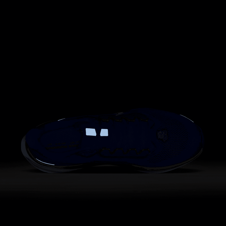 Nike Zoom Pegasus 41 Tennessee State Angle 6