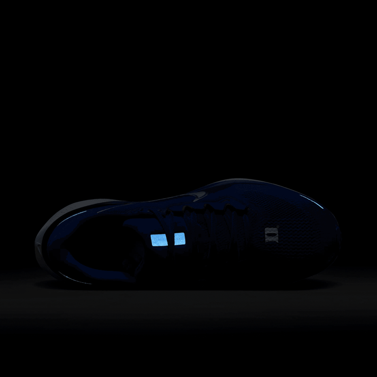 Duke Pegasus 41 Nike College Road Angle 6